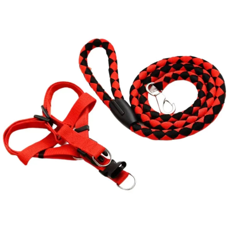 Kit Coleira Peitoral + Guia de Corda Reforçado – Passeios Confortáveis e Seguros!