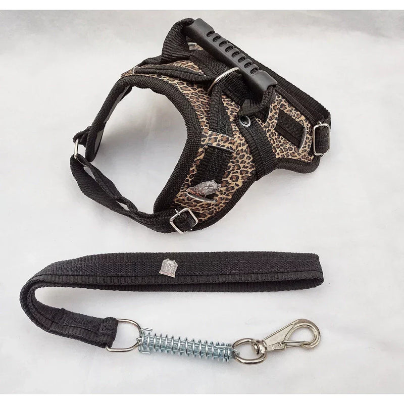 Peitoral Reforçado em Couro para Raças Fortes – Segurança, Durabilidade e Conforto