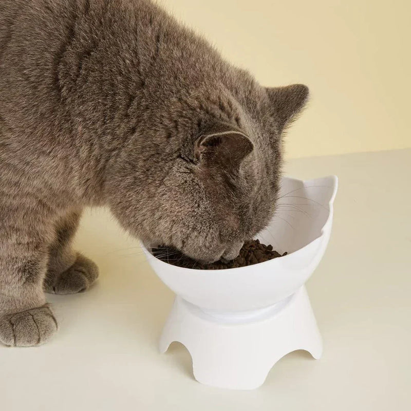 Comedouro e Bebedouro Elevado Ergonômico para Gatos